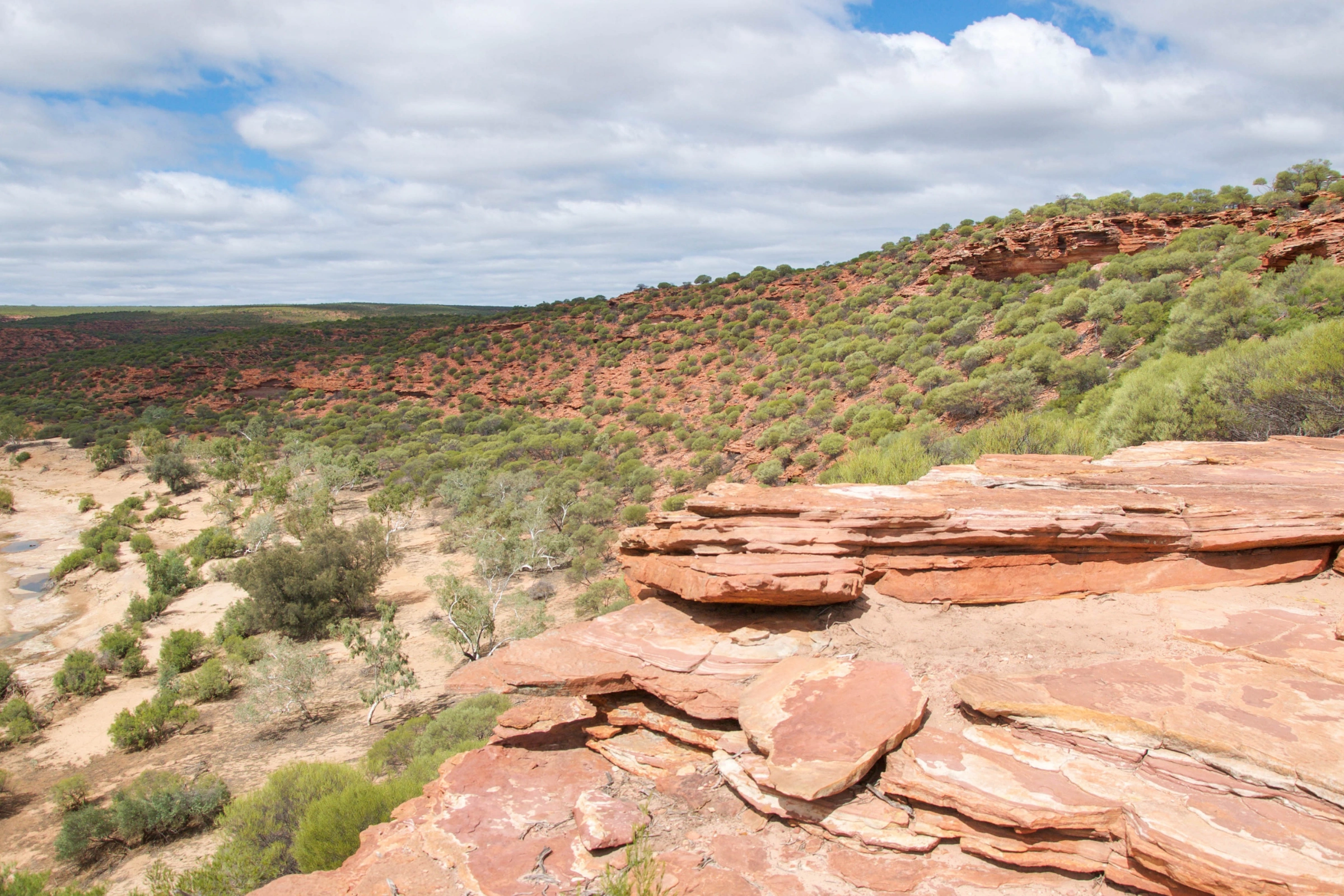 Kalbarri,_Western_Australia[1].webp